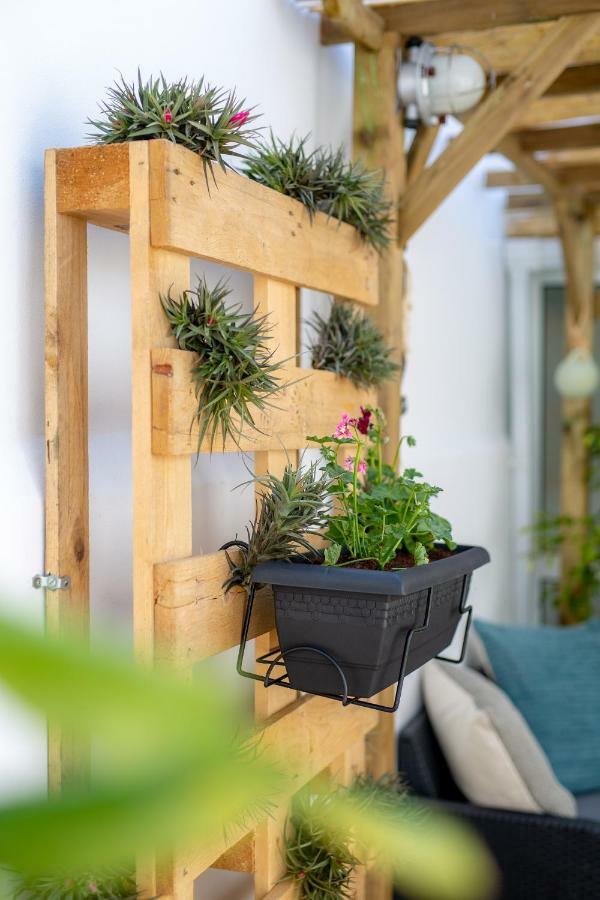 Tales Of Us Terrace Villa Aveiro Bagian luar foto